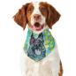 Preview: Hunde Bandana "Eddy"